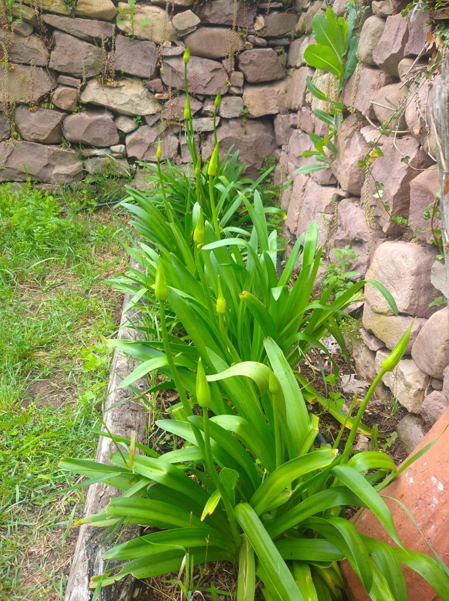 Venta De Arrieta Bed & Breakfast Saragueta Exterior foto